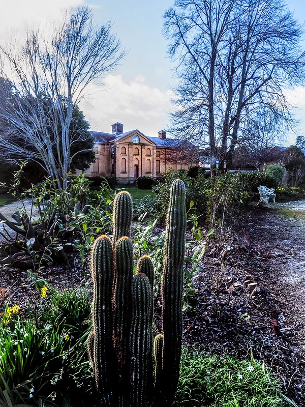 Stables with Cacti