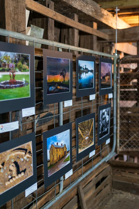 Festival of Roses Photographic Exhibition