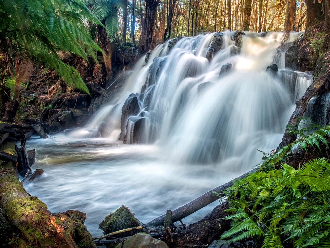 Upper Cam Falls (Landscape)