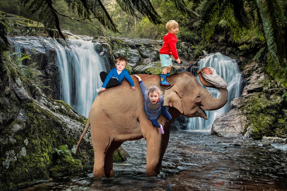 Elephant Rides at Halls Falls (Creative)