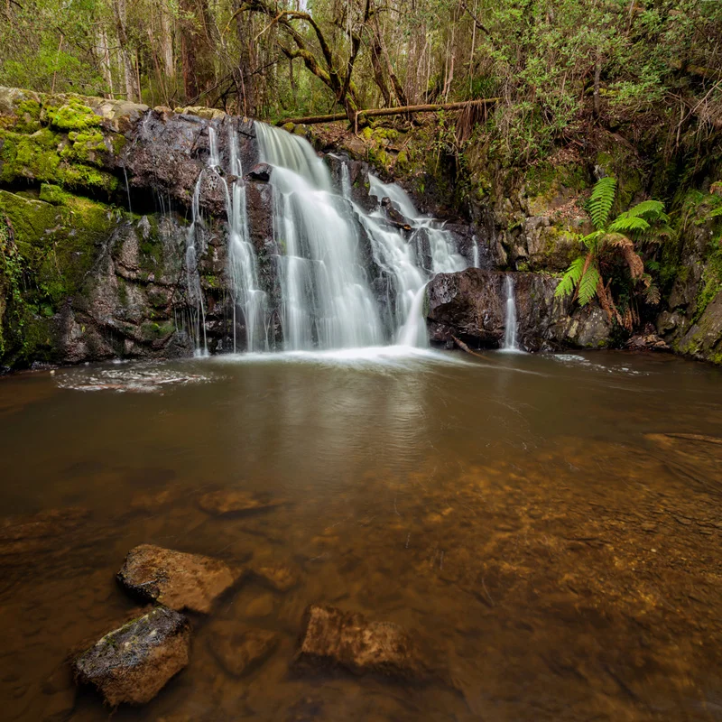 Upper Lilydale Falls (Landscape)