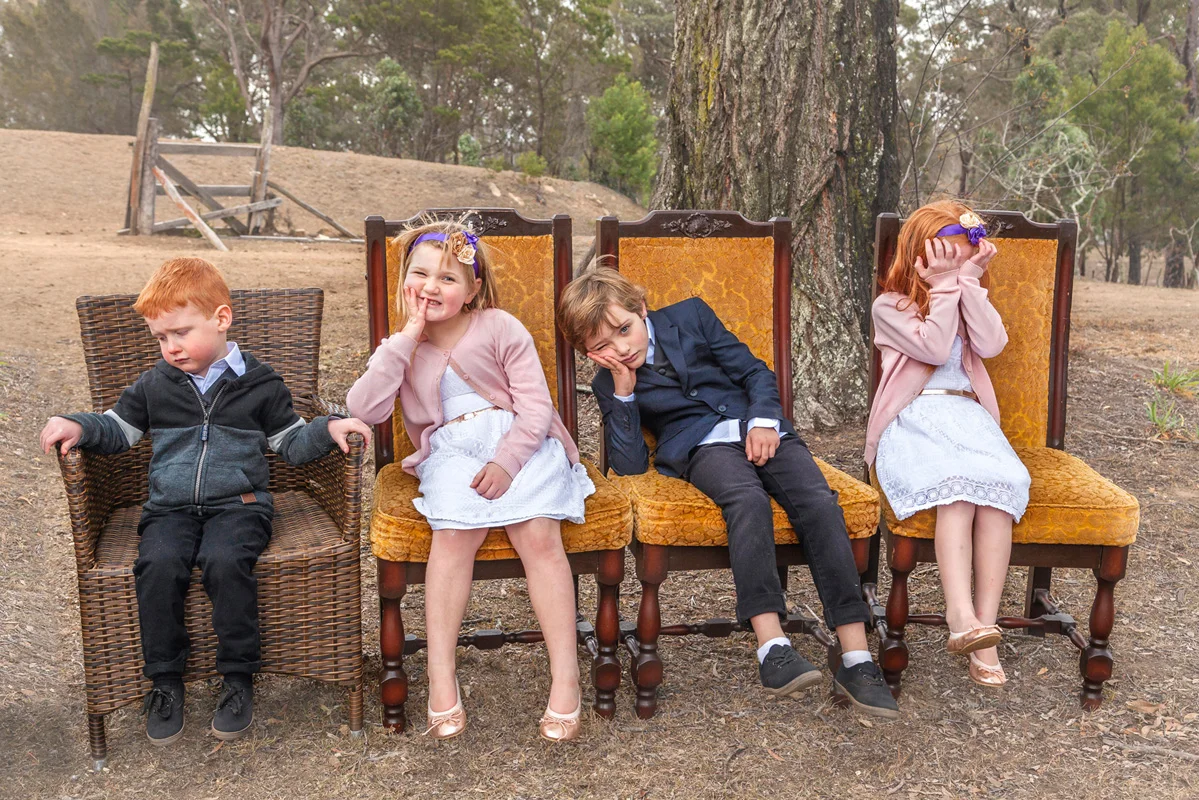 Everyone Loves a Wedding (Portrait)