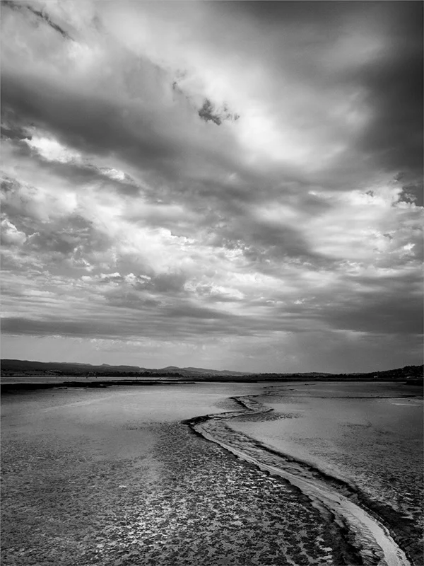Storm Clouds over the Wetlands