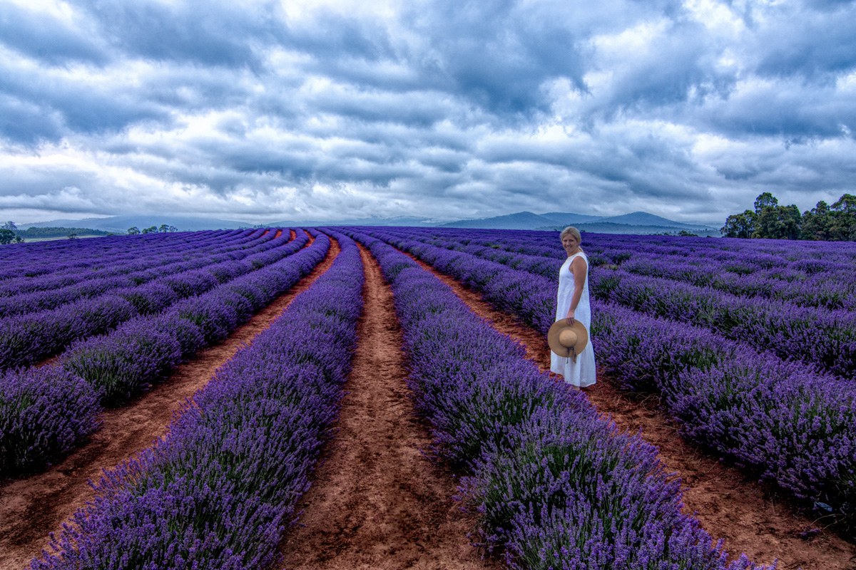 Patricia Routley - Lady of the Lavender Farm