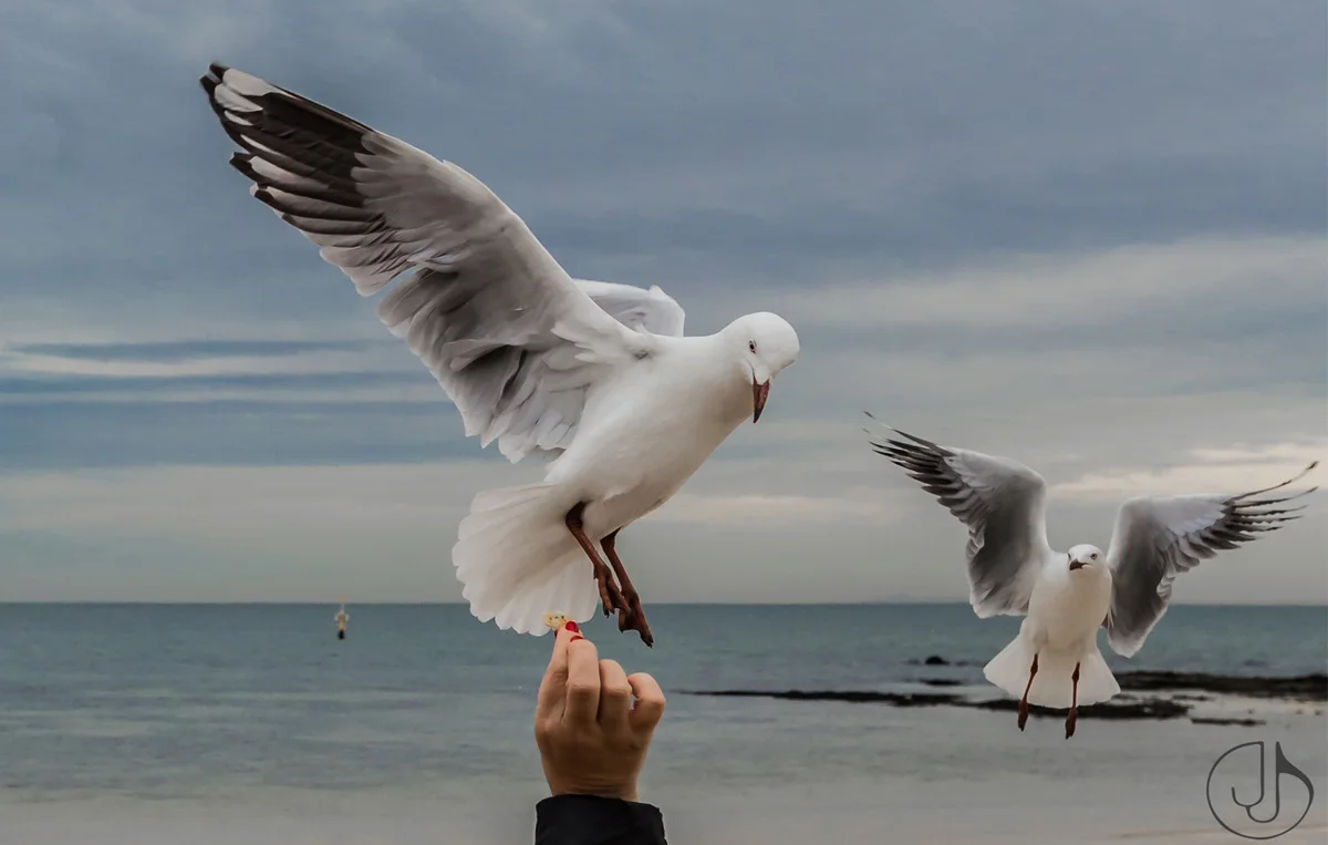 Brighton