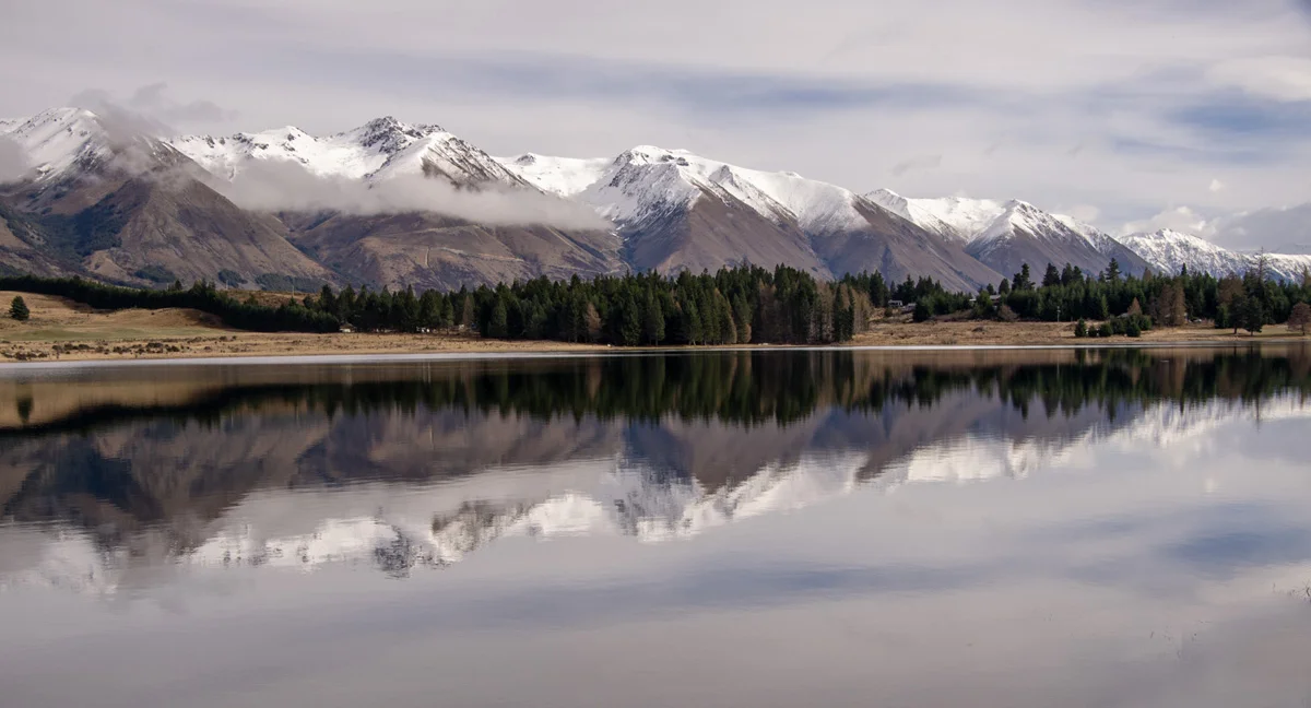 New Zealand Scene