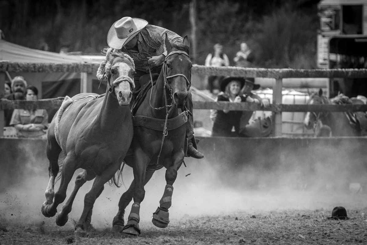 Rodeo Action