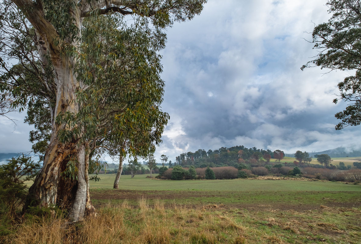 Rural View