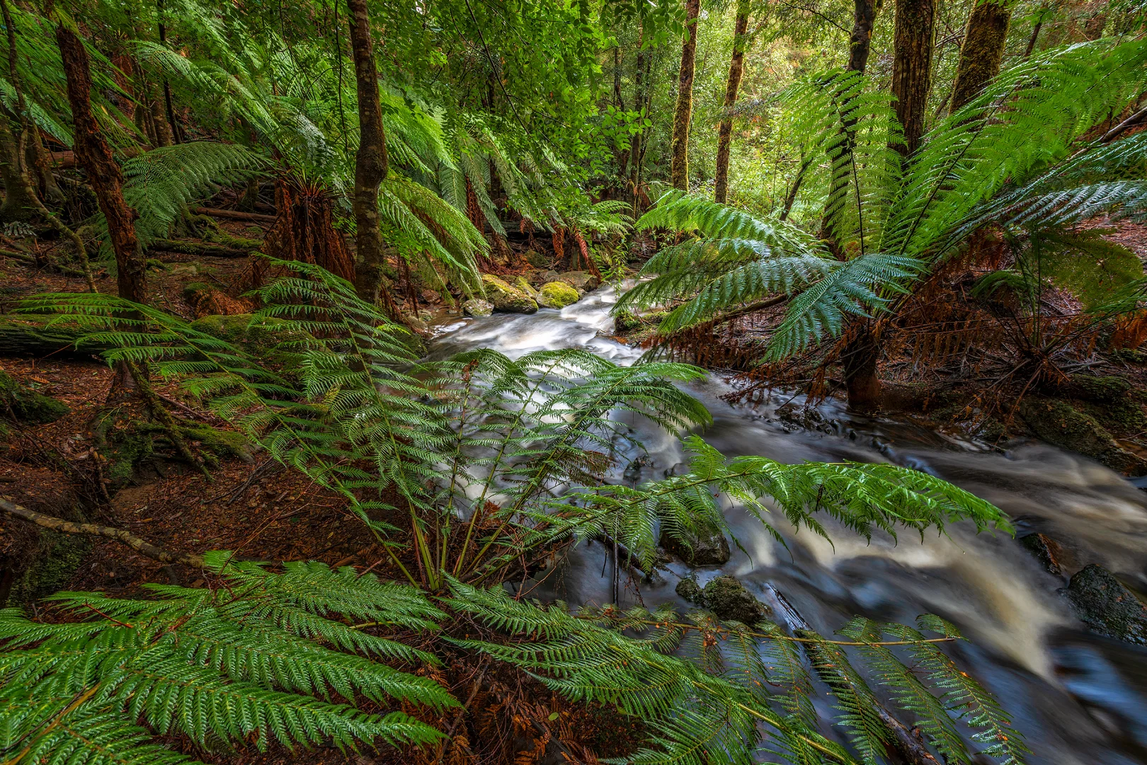 Nietta Creek