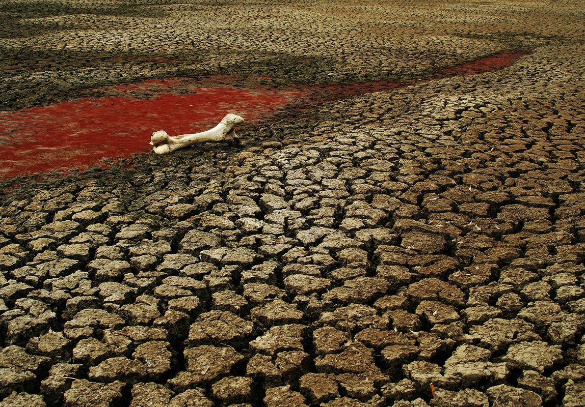 Bone Dry