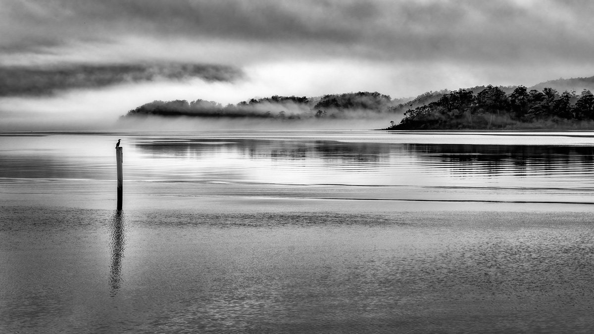 Macquarie Mist (Scapes)