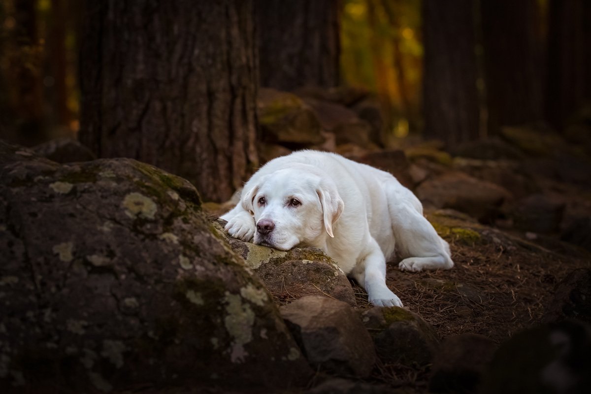 'It's Time' by Deb Sulzberger