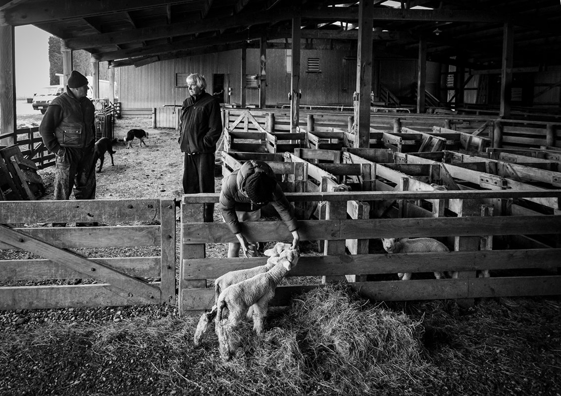 In the Yards - Social Documentary