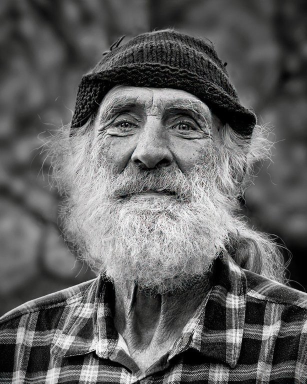 The Bushman