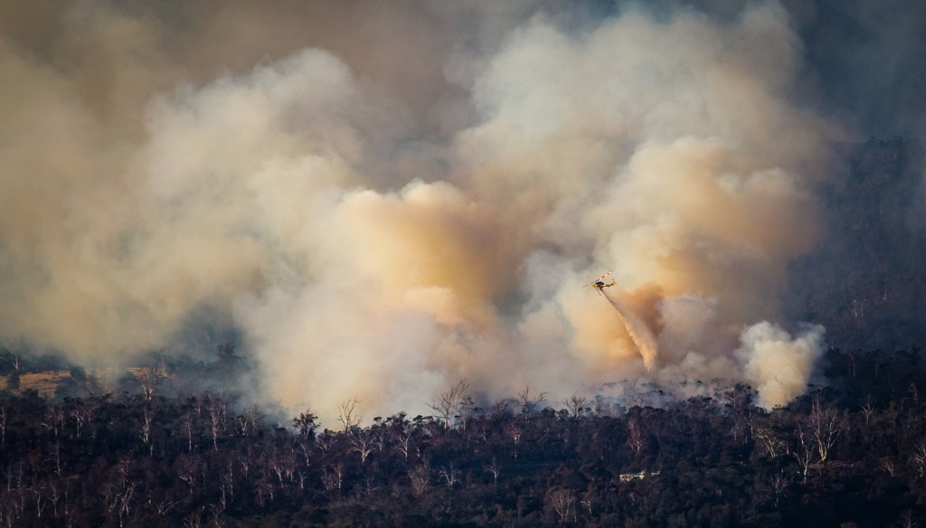 Bush Fire Season