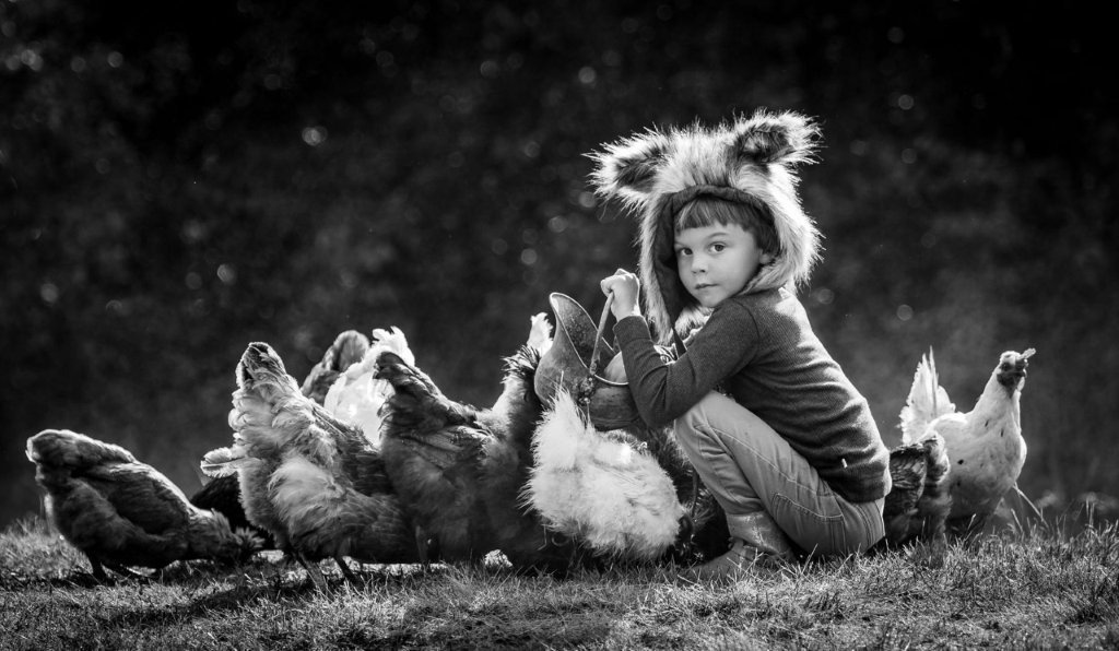 Feeding the Chickens