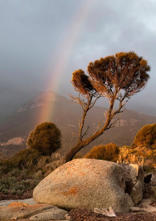 Flinders Rainbow
