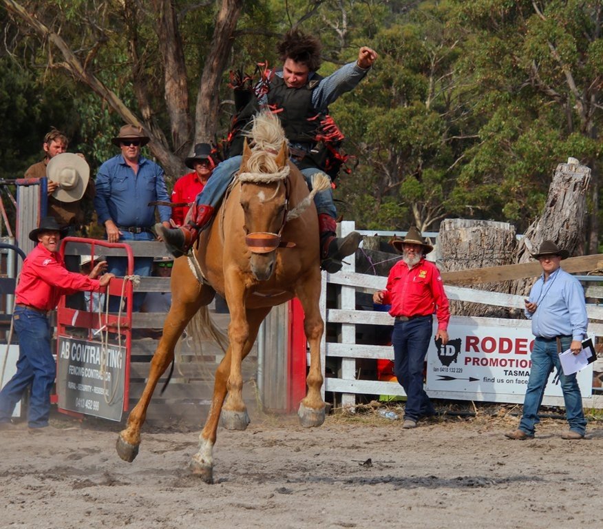 Horse vs Man