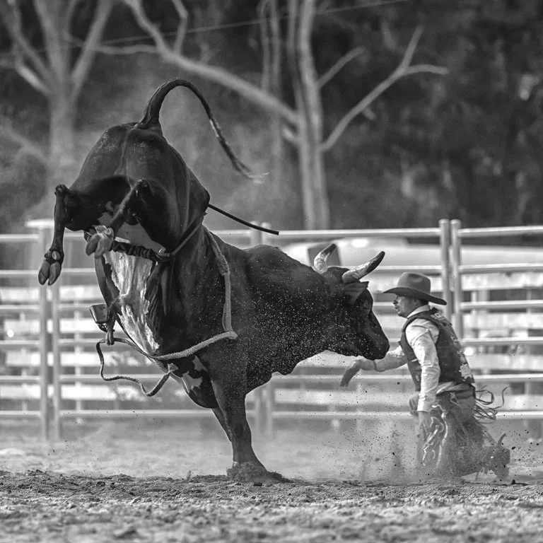 Rodeos