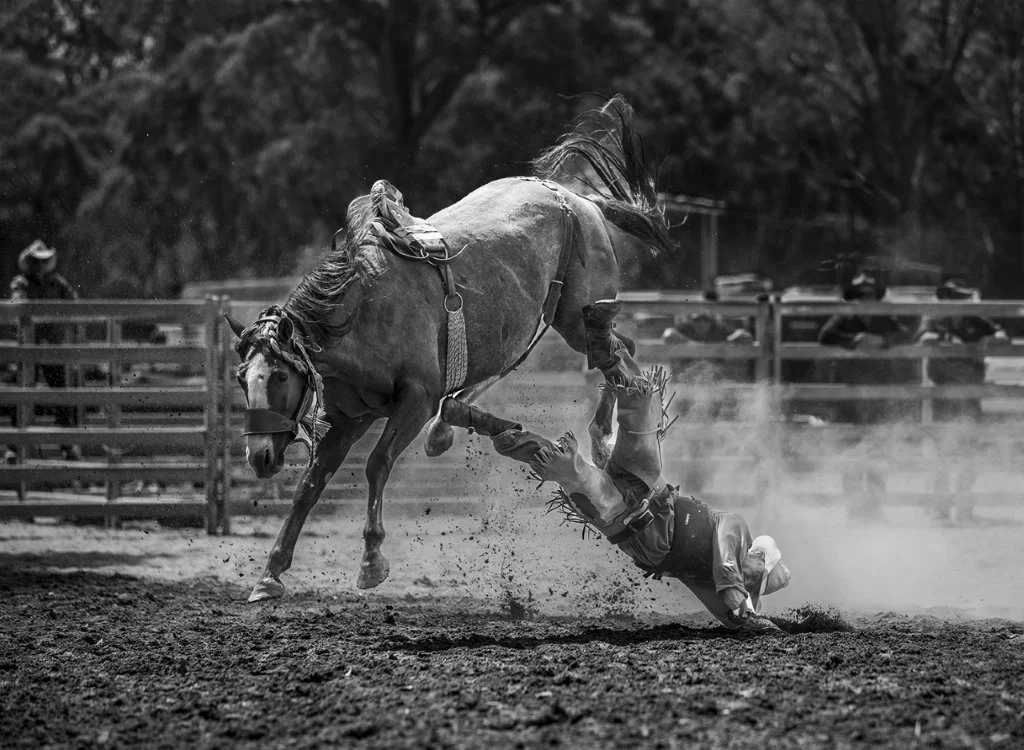 Rodeos