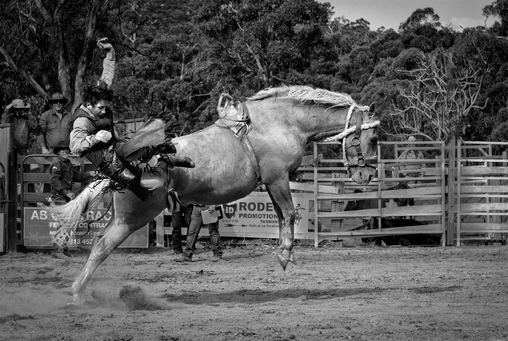Rodeos