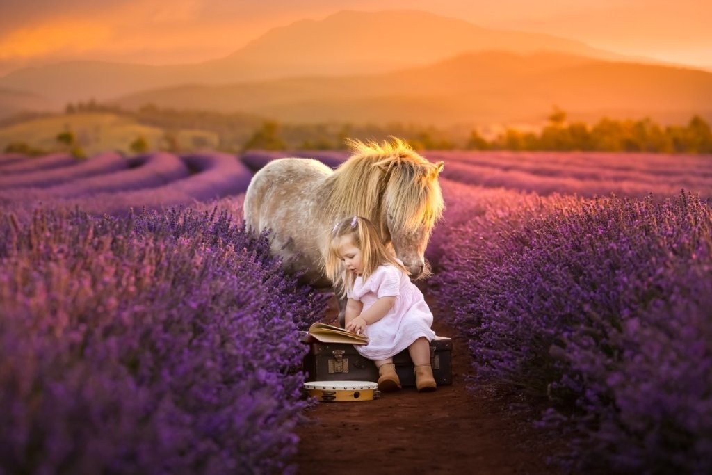 Once Upon A Time by Deb Sulzberger