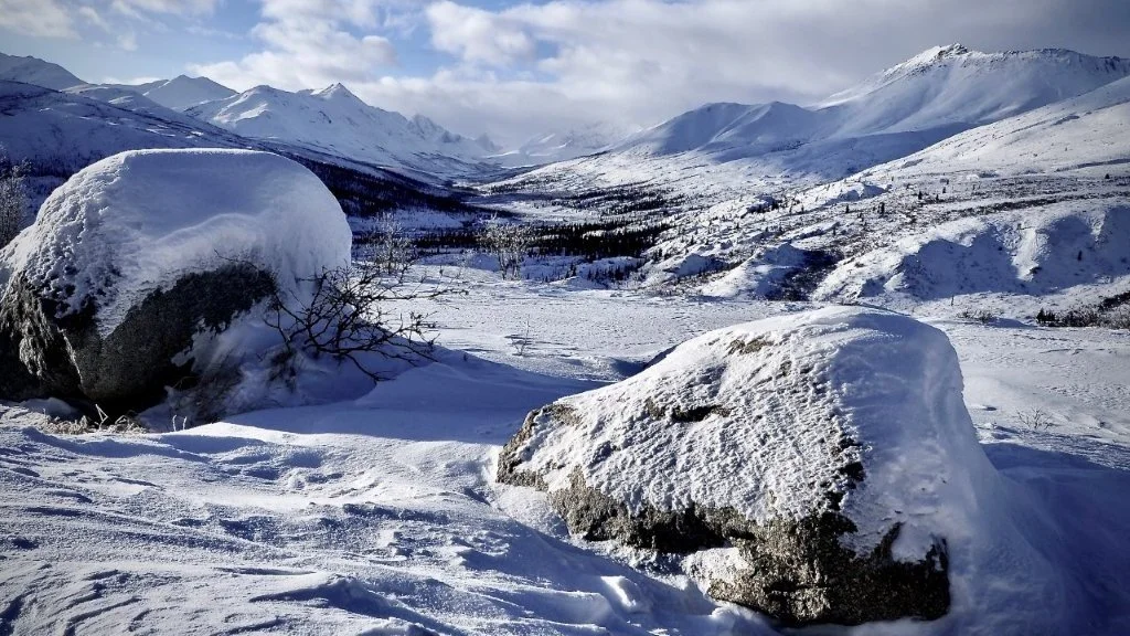 Frozen Magic by Rhonda Mortimer