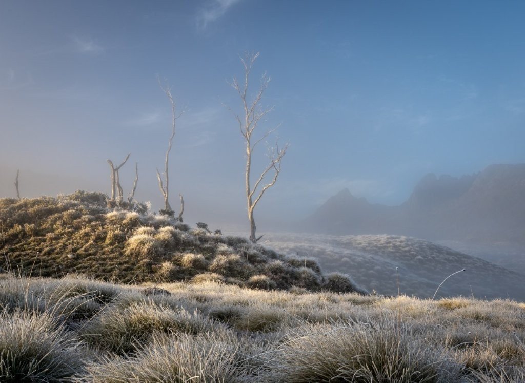 Frosty Cradle Sunrise by Robyn Whishaw