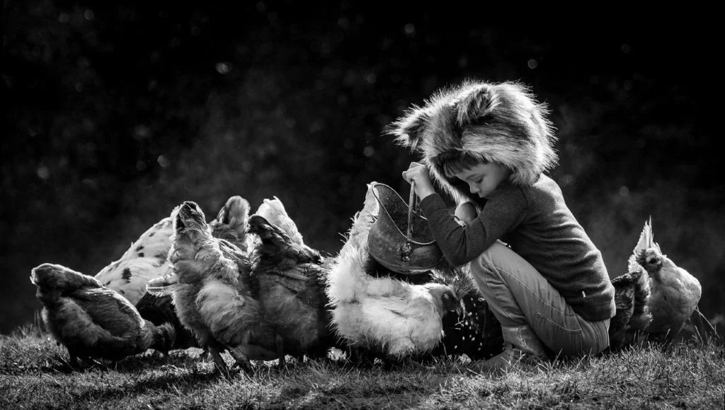 Feeding Time by Sara Barritt