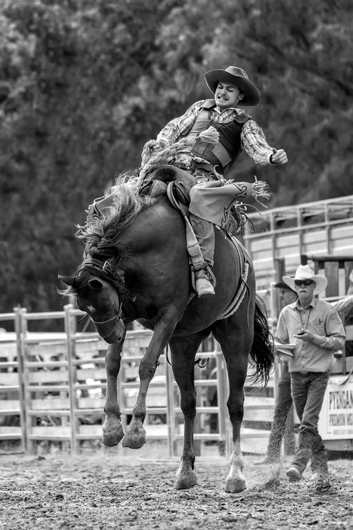 Gentle Ride by Shane Westley