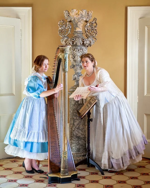 'Harp Lessons' by Fiona Carter