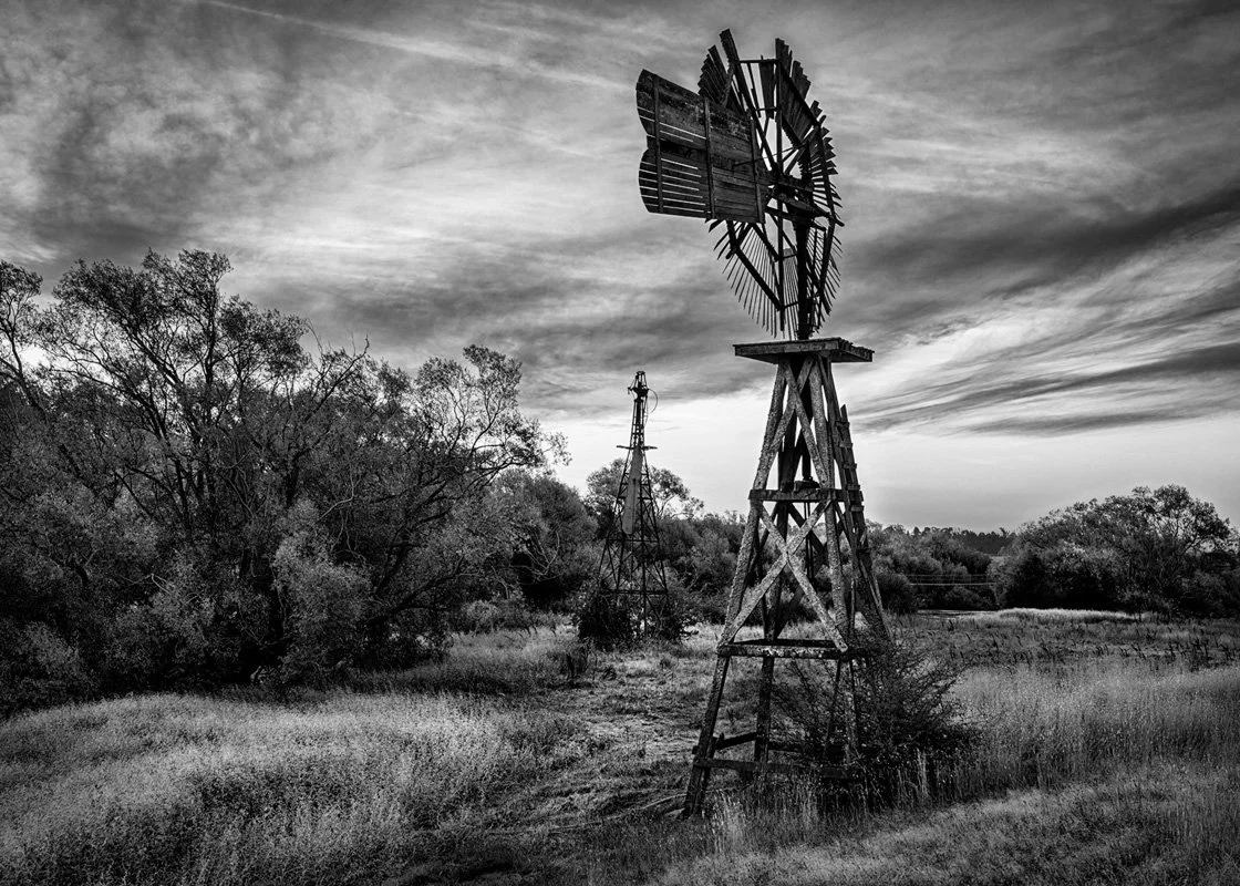 'Woolmers Windmill Evening' by Fiona Carter
