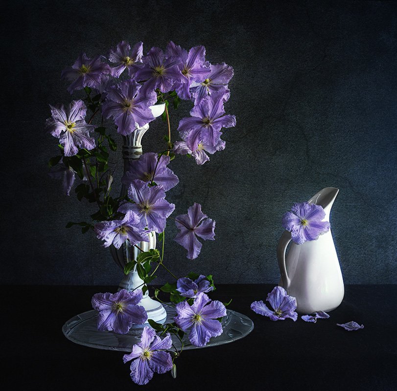 'Clematis Bloom' by Nadia Trevan
