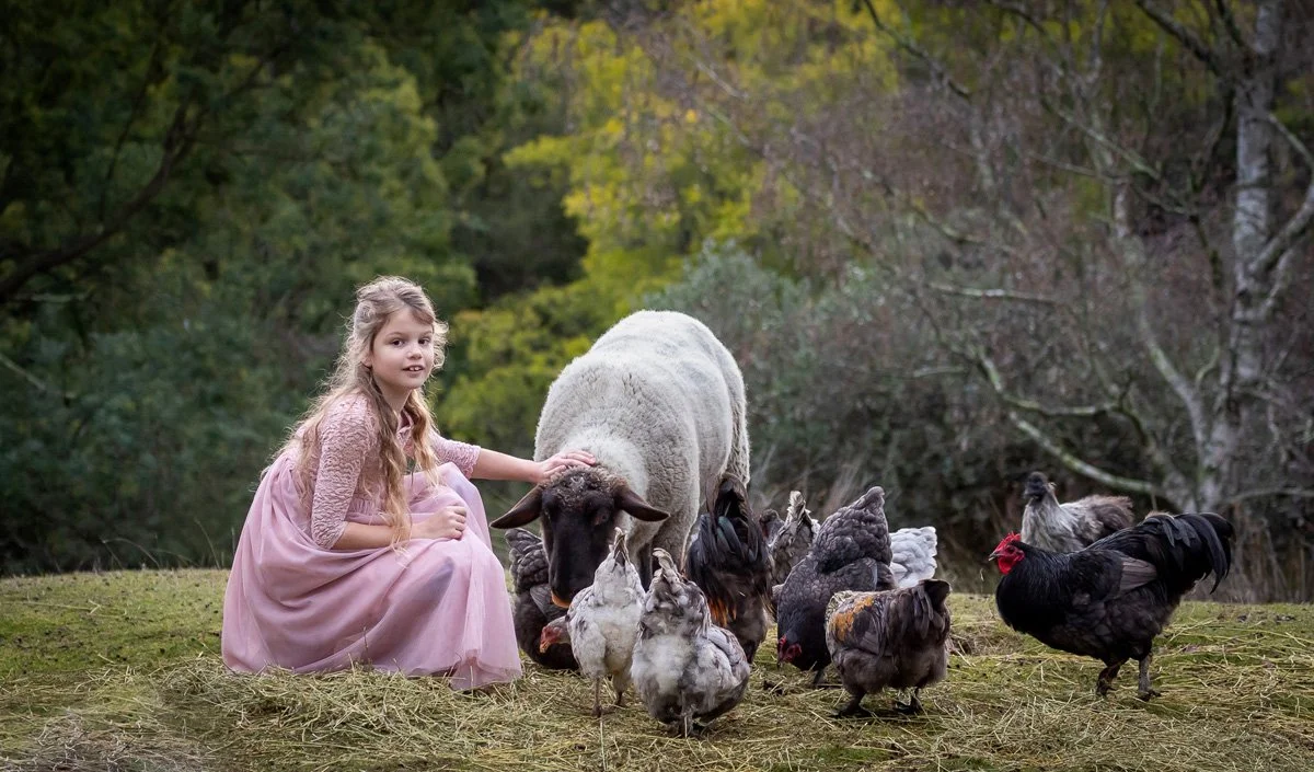 'Amber and her Pets' by Sara Barritt