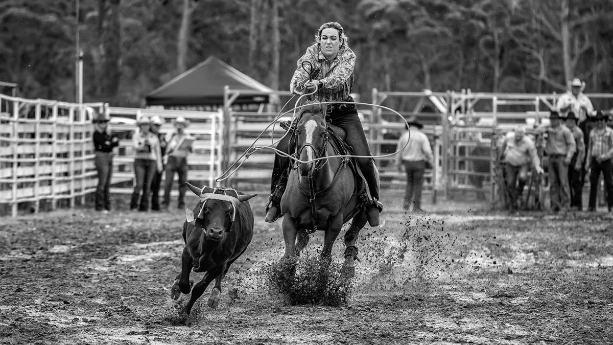'Rodeo Runner' by Shane Westley