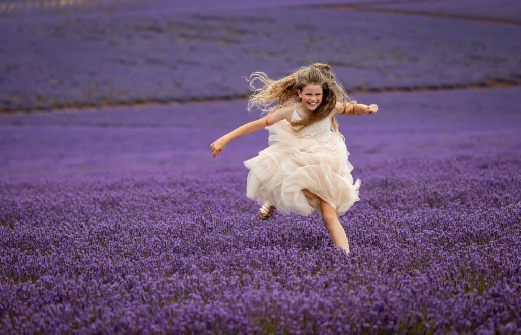 Lavender Hurdles