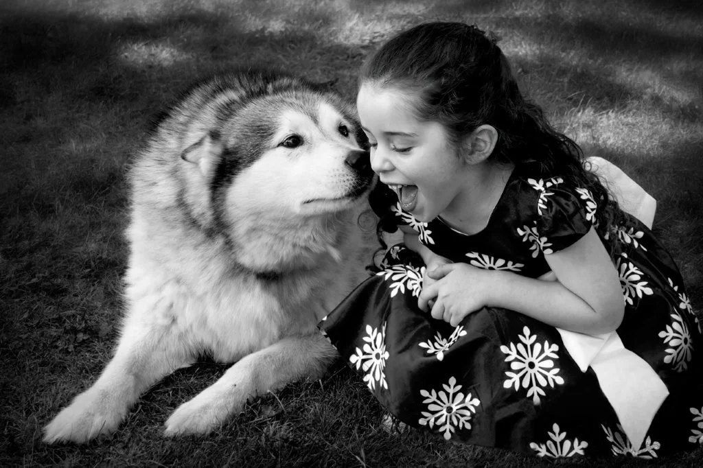 Furever Friends