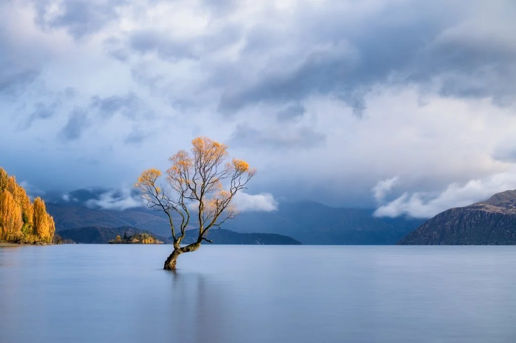 Wanaka Light