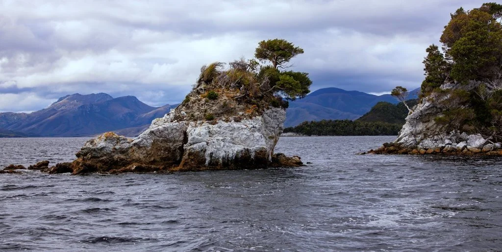 Bonsai Island