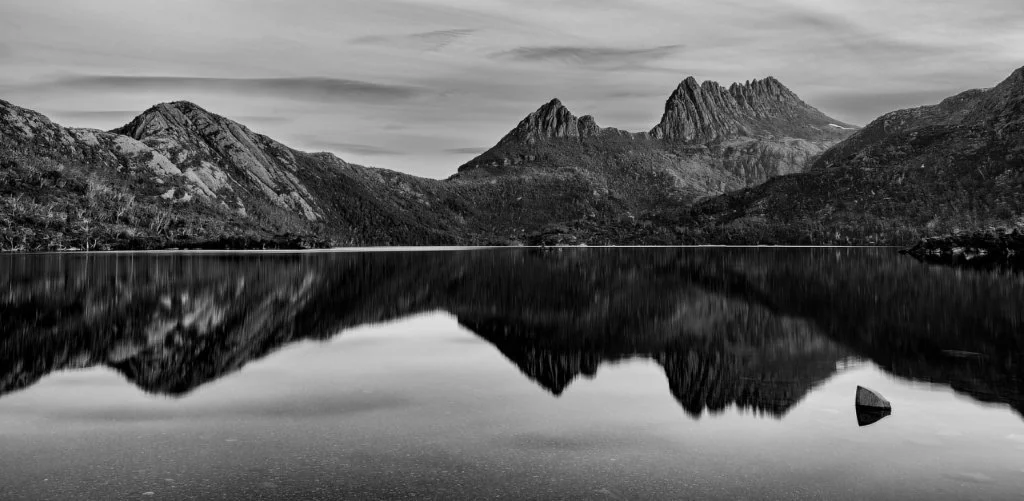 Cradle Reflections