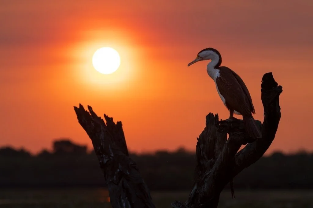 Kakadu Sunset