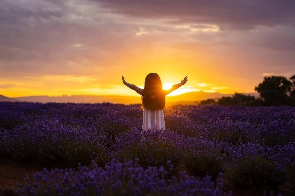 Embrace the Light