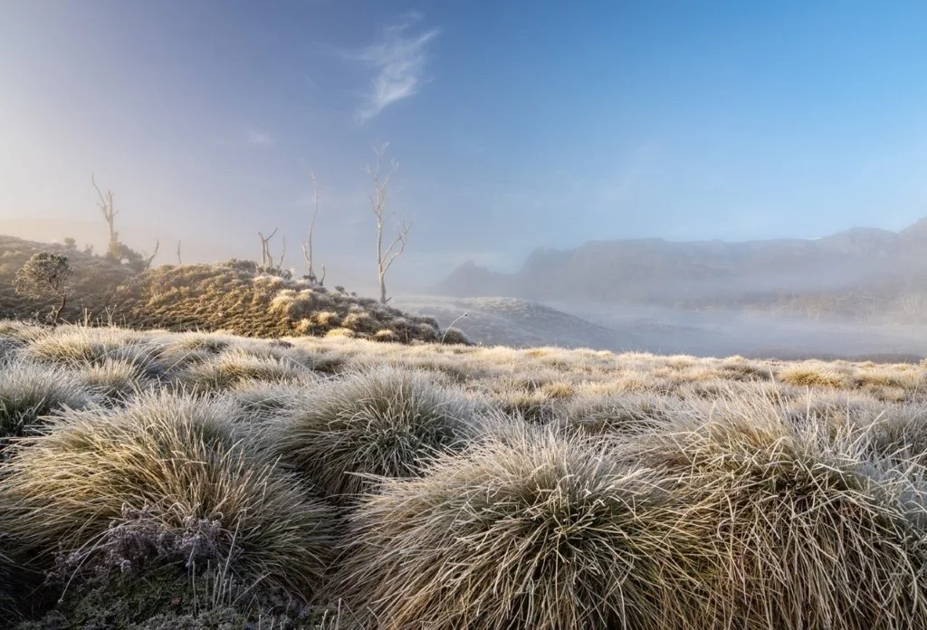 Cradle Winter Morning