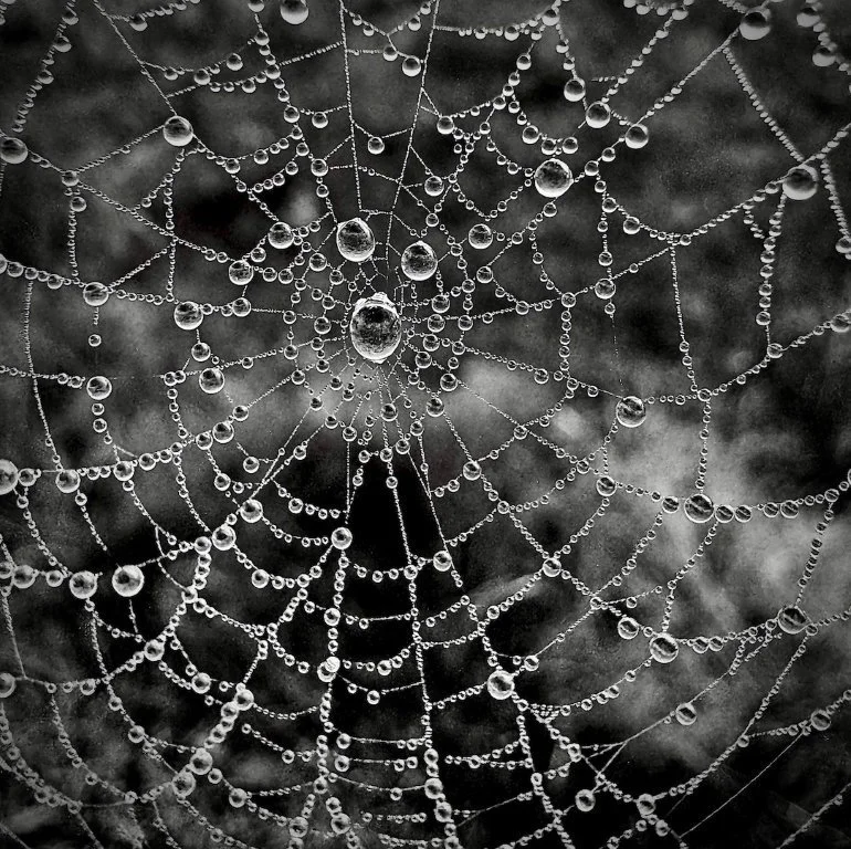 Web Crystals