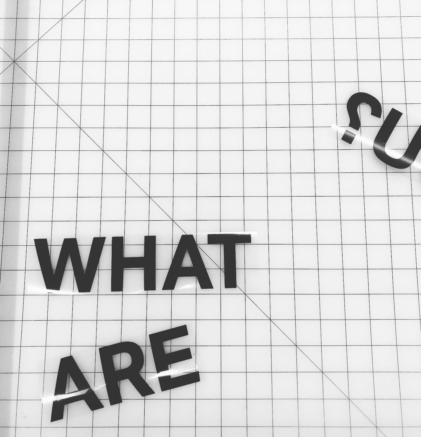 What are you?