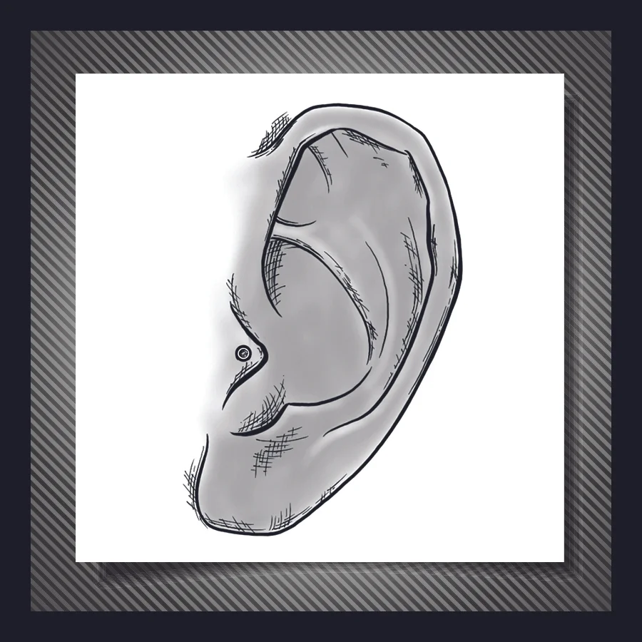 ear-piercing-tragus.jpg