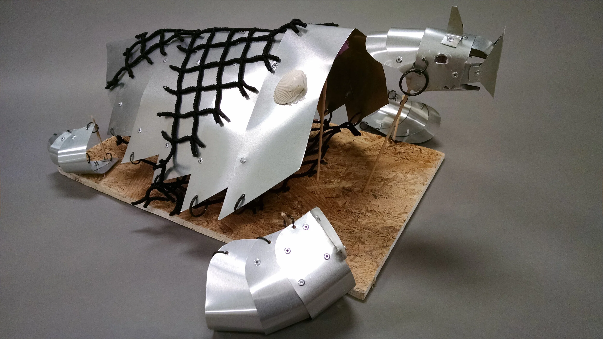 Pirate Sea Turtle Armor