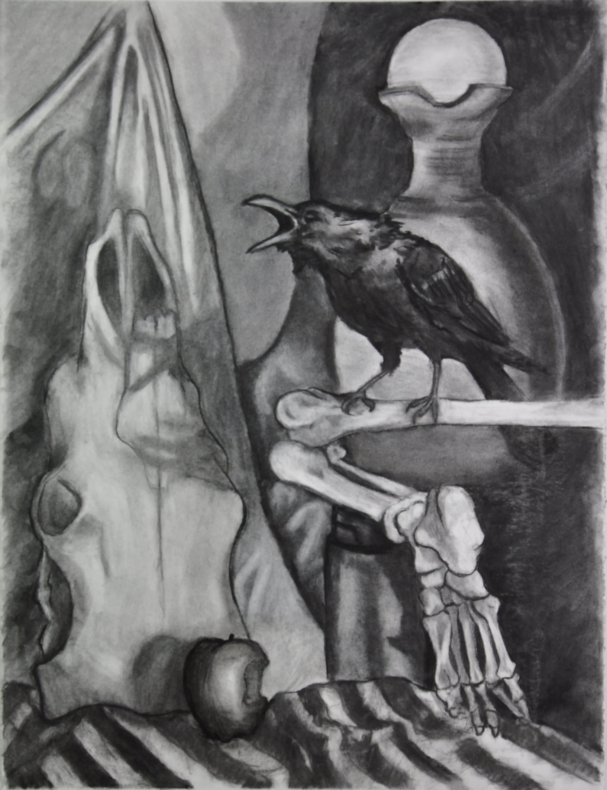 The Crow - Still Life