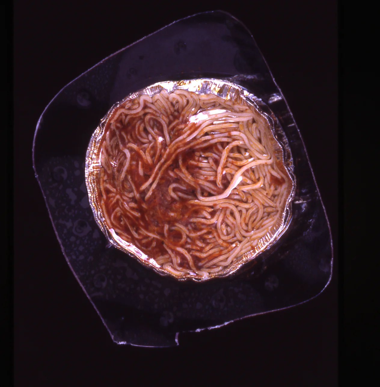 Vacuum-formed Spaghetti