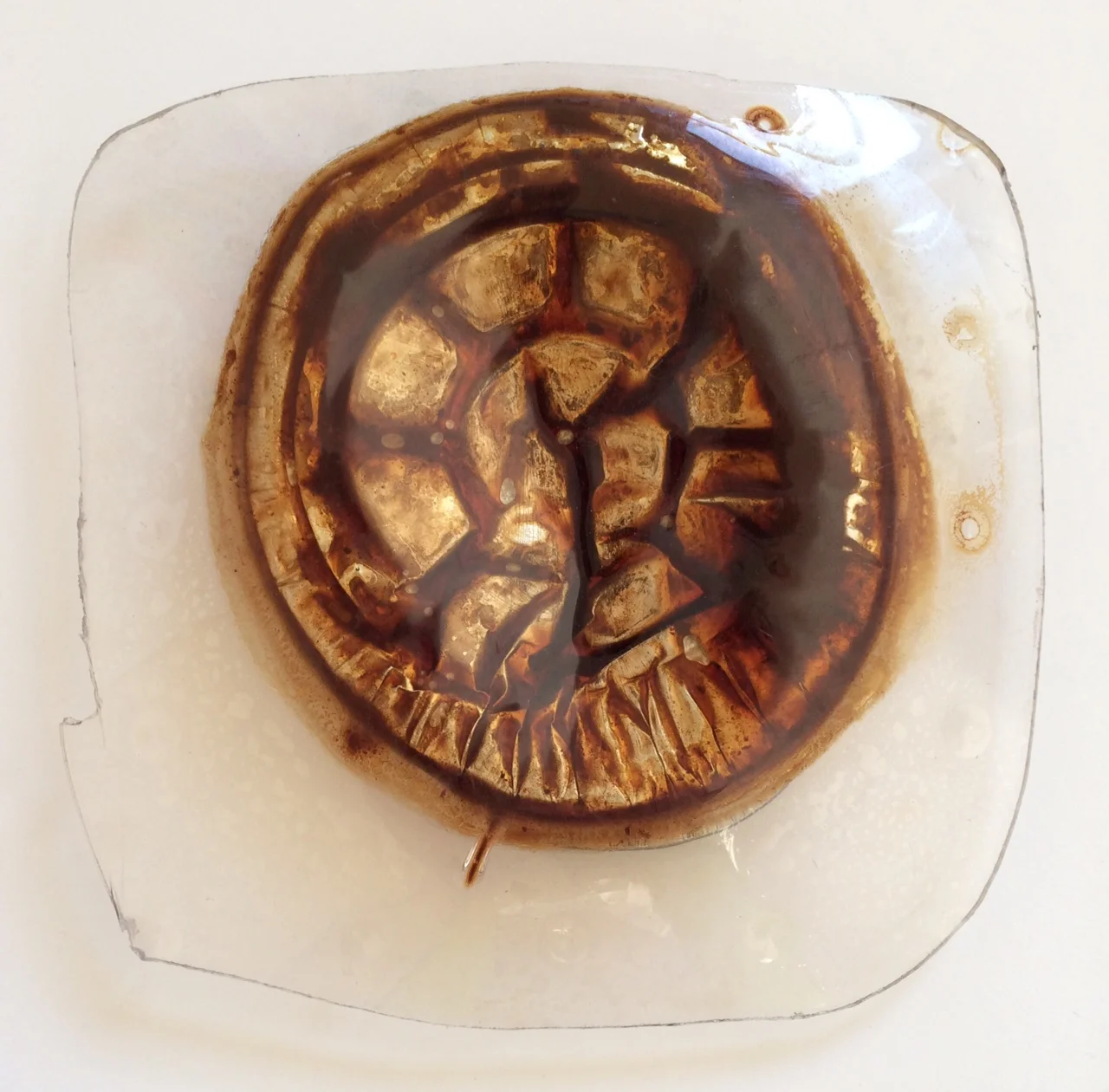 Vacuum-formed Spaghetti in 2015